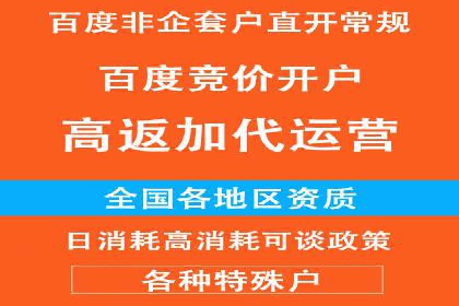 成功SEM主管的营销策略案例分享